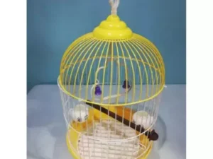 1pcs Big Round Size China Premium Metal Bird Cage With All Accessories