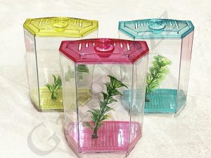 Taiyo Desktop Mini Single Betta Fish Tank - Hexagon Shaped, 600ml, High-Quality Plastic Desktop Fighter/Betta Aquarium Tank