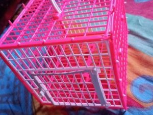 Carrying Cage For Bird (Plastic)